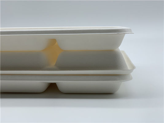 Dinnerware 25g 5 Compartment Biodegradable Food Trays