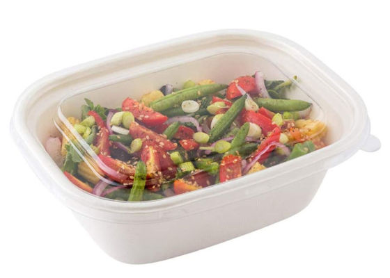 Oilproof Meal  Bento 27g 48oz Biodegradable Salad Boxes