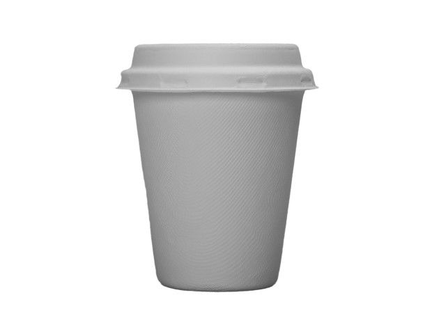 Sugarcane Bagasse 8 Ounces 8g Biodegradable Cups And Lids